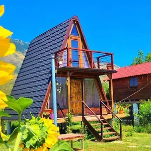 Life On The Farm , Nepravishte Albanie